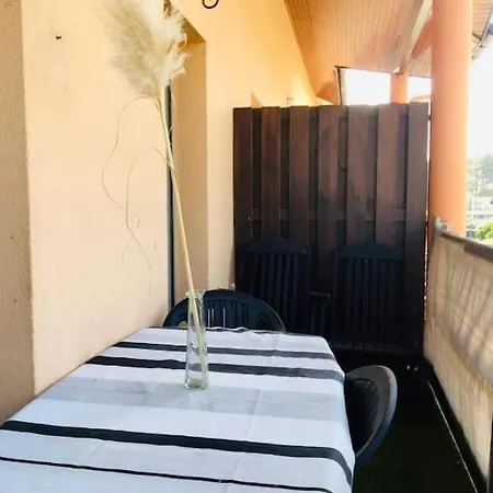 - Cauris - ヴュー・ブコー・レ・バン