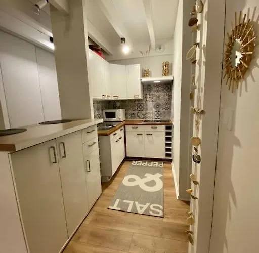 - Cauris - Vieux-Boucau-les-Bains