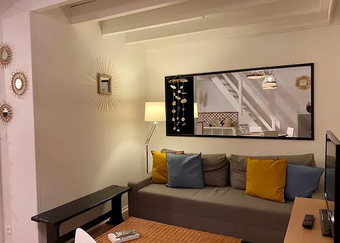 - Cauris - * Vieux-Boucau-les-Bains