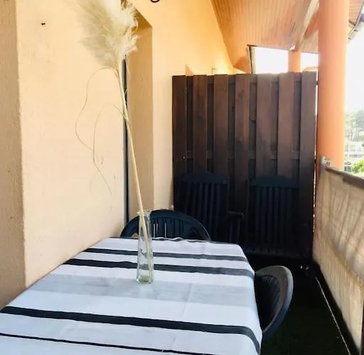 - Cauris - Vieux-Boucau-les-Bains